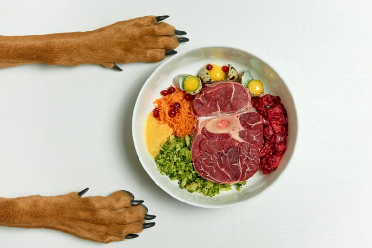 Human-grade dog food in the USA