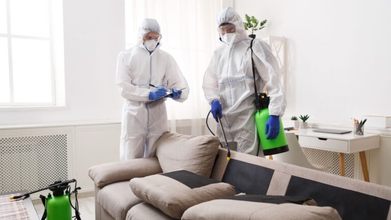 Pest Control Services in Lahore: Ensuring Termite Treatment