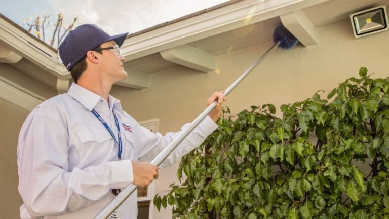 Pest Control in Lahore Ensuring Pest Control Services Lahore