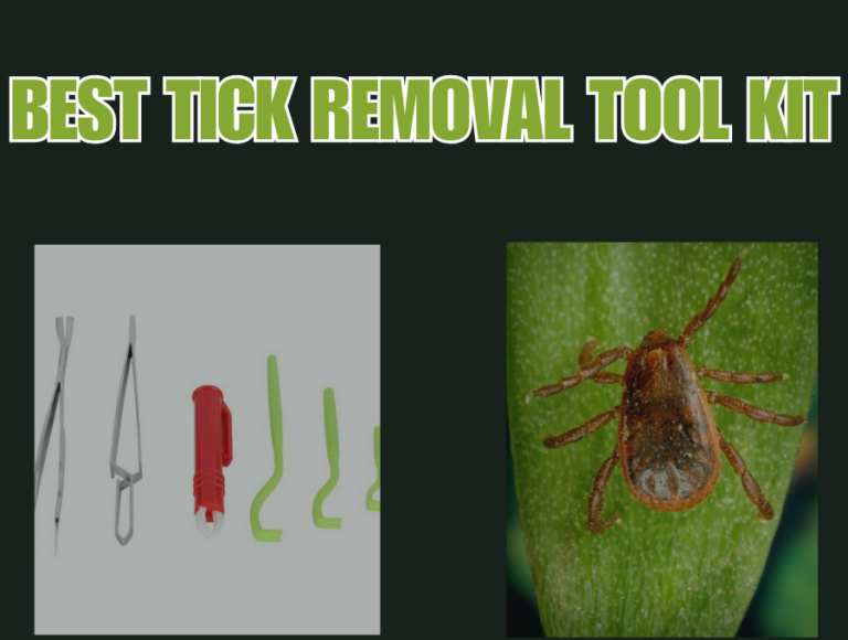 Best Tick Removal Tool Kit: Safely and Easily Remove Ticks