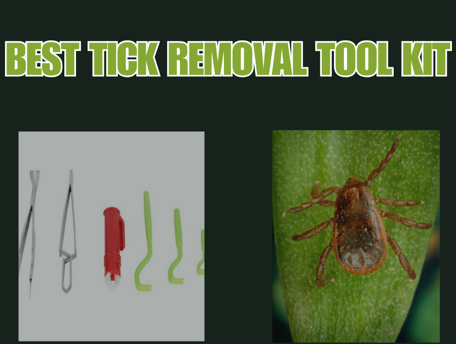 Best Tick Removal Tool Kit: Safely and Easily Remove Ticks