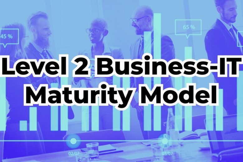 Level 2 Business-IT Maturity Model: Understanding and Advancing Your IT Strategy