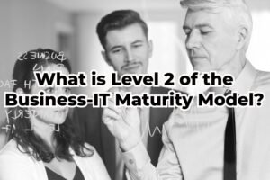 What is Level 2 of the Business-IT Maturity Model?