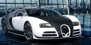 mansory_bugatti_veyron_vivere